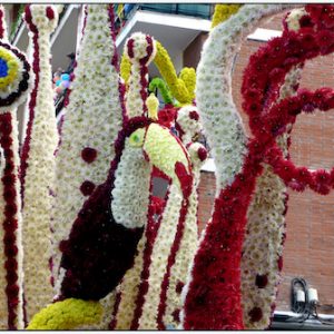 La batalla de las flores en Laredo