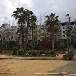 La fuente del Rey en Priego de Córdoba