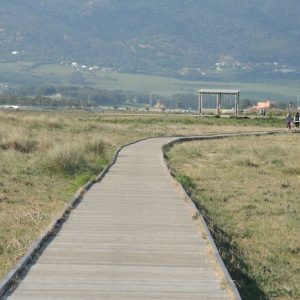 El paseo del Colesterol en Tarifa