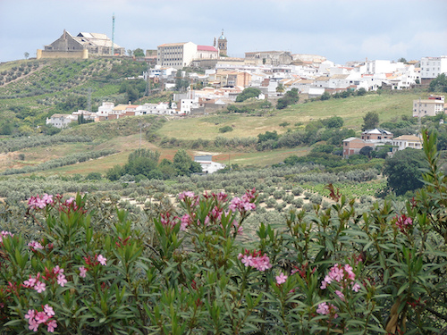 Vista de Montilla en la provincia de Córdoba