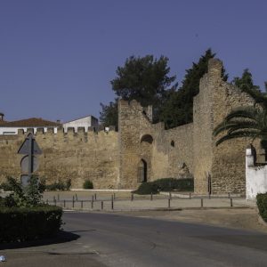 El recinto amurallado de Llerena