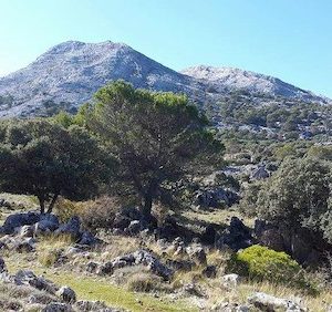 El parque natural sierra de Grazalema