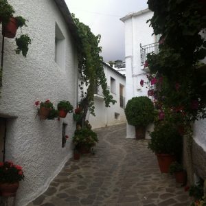 Bubión Bien de Interés Cultural en Granada