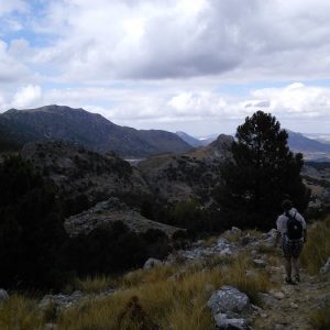 El parque natural sierra de Grazalema
