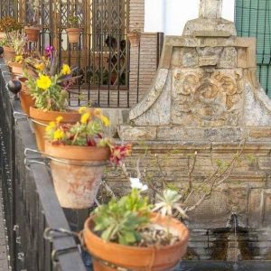 Las fuentes en Laujar de Andarax