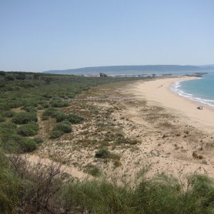 Playa de la Hierbabuena en Barbate