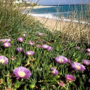 La playa de los Caños de Meca en Barbate
