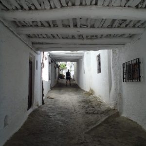 Bubión Bien de Interés Cultural en Granada
