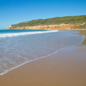 Playa de la Hierbabuena en Barbate