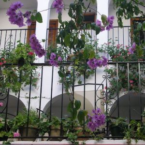 Hospedería Casa de las Piedras en Grazalema