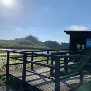El Parque Natural de las Marismas de Santoña