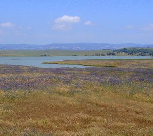 Embalse de Barbate en Alcalá de los Gazules