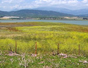 Embalse de Barbate en Alcalá de los Gazules