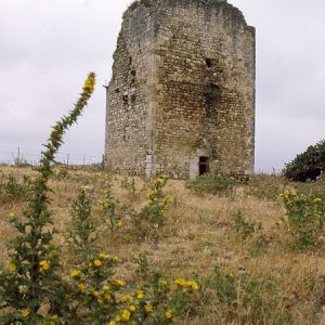 Yacimiento romano de la Mesa del Esparragal