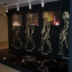 El Centro de Interpretación Cádiz Prehistórico