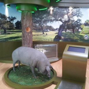 Museo del jamón en Monesterio