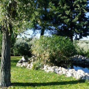 Alojamiento rural San Juan Bautista en Cazorla
