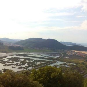 El Parque Natural de las Marismas de Santoña