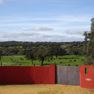 Ganadería Osborne
