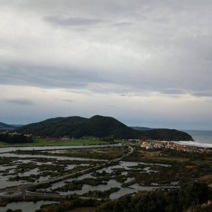 El Parque Natural de las Marismas de Santoña