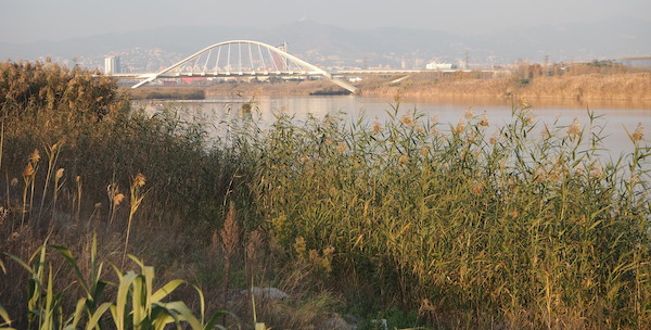 Vista del Delta del LLobregat en Cataluña