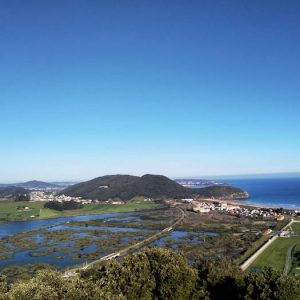 El Parque Natural de las Marismas de Santoña