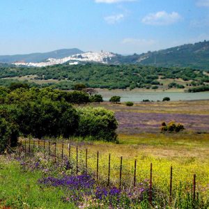 Embalse de Barbate en Alcalá de los Gazules