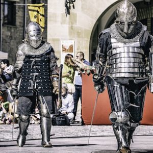 Fiestas medievales en Olite