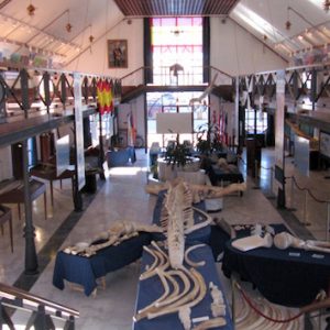 El Museo del Mar en Ceuta