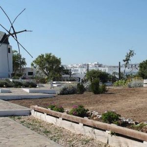 Los molinos harineros en Vejer de la Frontera