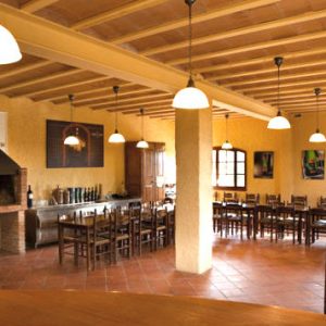 Bodega de cava en la Comarca del Alto Penedés