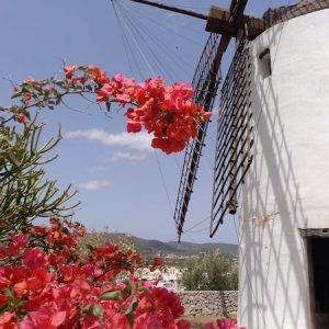 Molino harinero De Es Puig D’En Valls