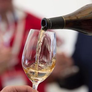 Degustación de vinos en Jerez de la Frontera
