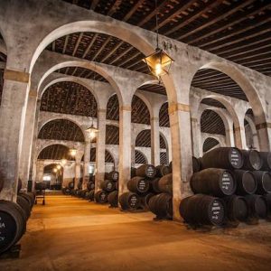 Degustación de vinos en Jerez de la Frontera