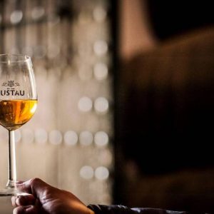 Degustación de vinos en Jerez de la Frontera