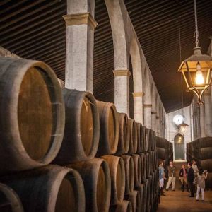 Cata de vinos en Jerez de la Frontera