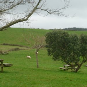 El mirador de Elorriaga