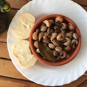 La gastronomía Olvereña