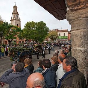 La vendimia en Toro