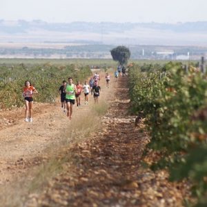 La ruta del vino de Toro