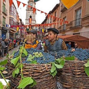 La vendimia en Toro