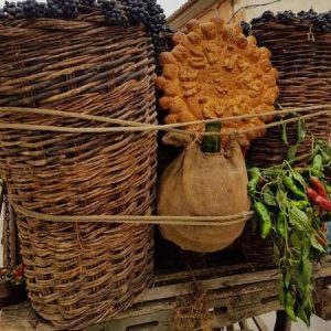 La vendimia en Toro
