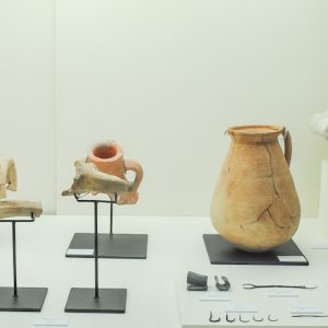 El museo arqueológico de Estepona