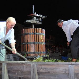 Fiesta de la vendimia en Montilla