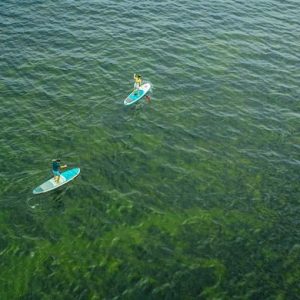 Alquiler de tablas de surf en Castro Urdiales