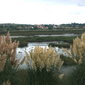 Senda peatonal y ciclable de la Ribera en Suances