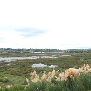 Senda peatonal y ciclable de la Ribera en Suances