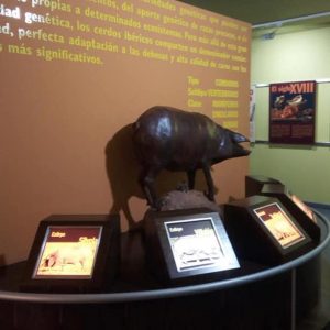 Museo del jamón de Aracena