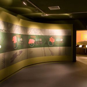 Museo del jamón de Aracena
