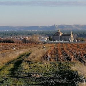 La ruta del Duero en Pesquera de Duero